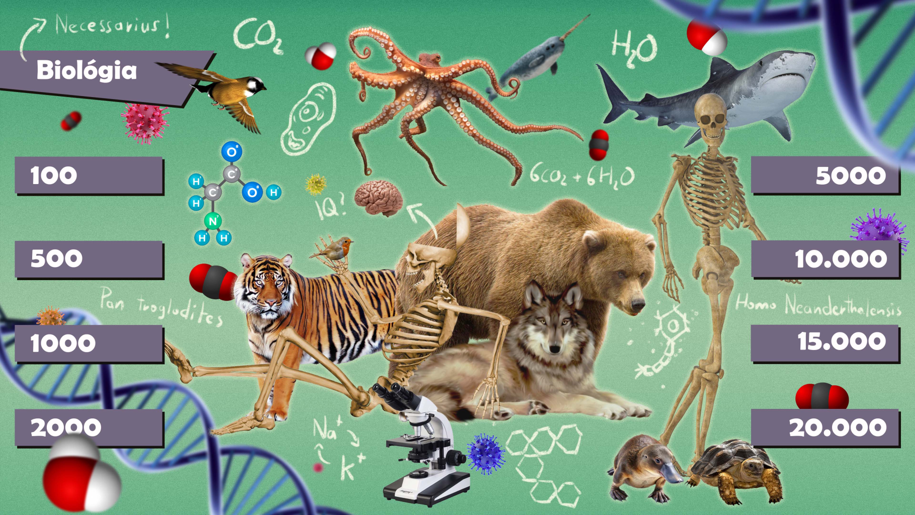 We are waiting for you in Debrecen's largest escape room!